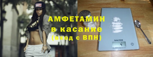 амф Каменка