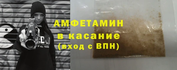 амф Каменка
