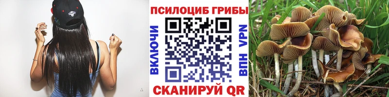 Псилоцибиновые грибы ЛСД  Купить  Чайковский 